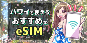 ハワイで使えるeSIMおすすめ比較8選!電話番号付きや無制限で利用できるサービスはある?