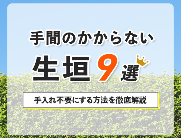 手間のかからない生垣9選！手入れ不要にする方法を徹底解説