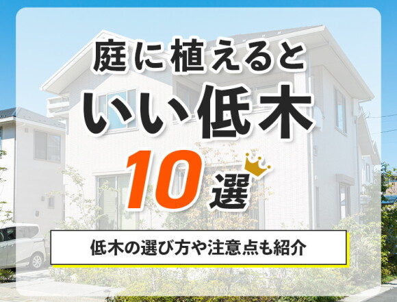 庭に植えるといい低木10選！低木の選び方や注意点も紹介