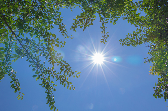 日差しが強く夏場は暑い