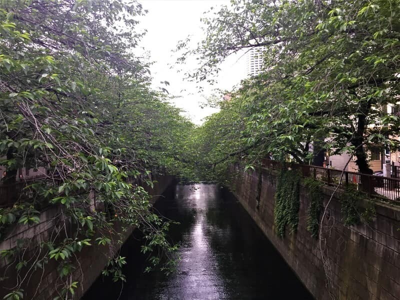 中目黒駅付近にある目黒川の風景