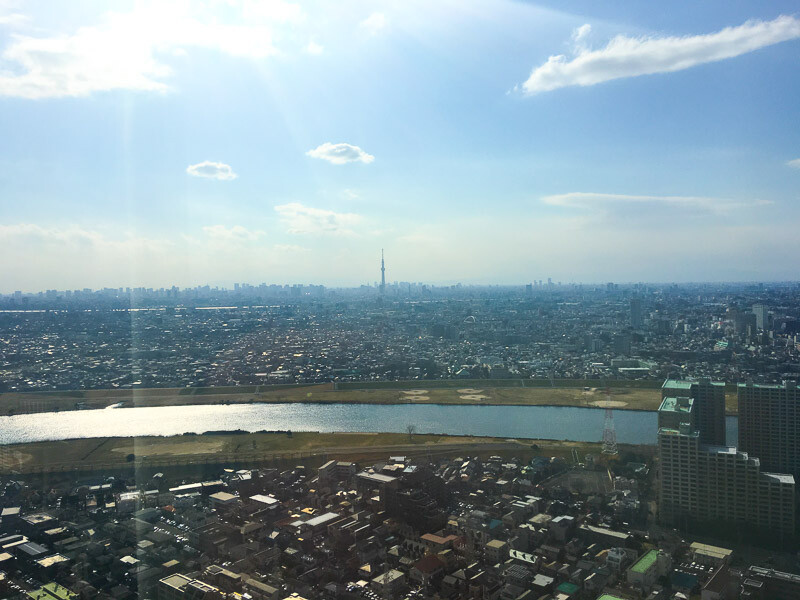 市川駅の展望台からの風景