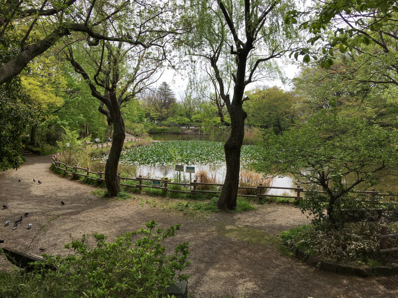 菊名池公園