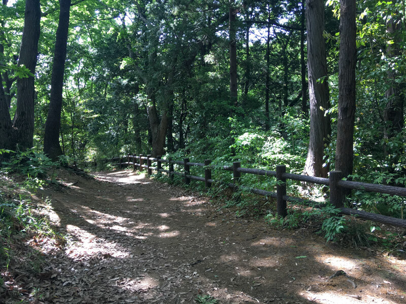 桜台公園②