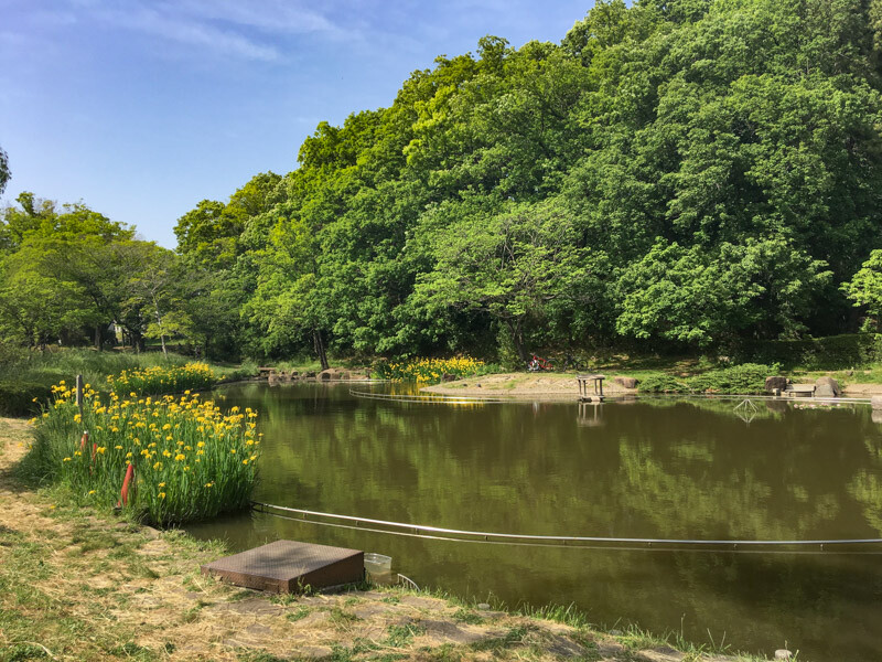 桜台公園④