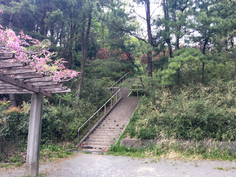 山口白山公園①