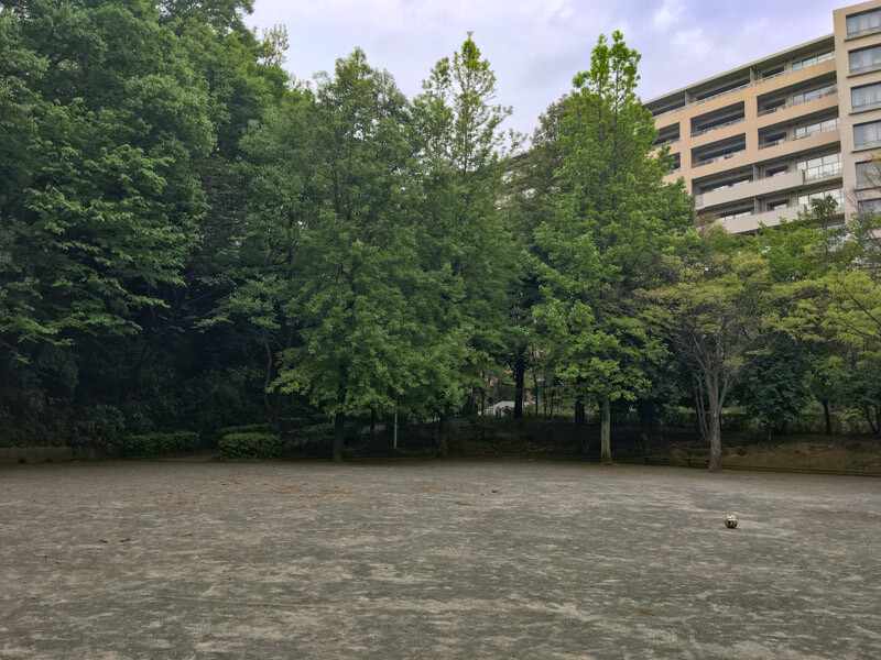 山口白山公園②