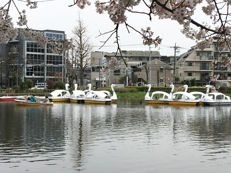 石神井公園駅南側3