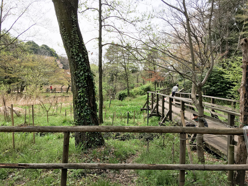 石神井公園駅南側5