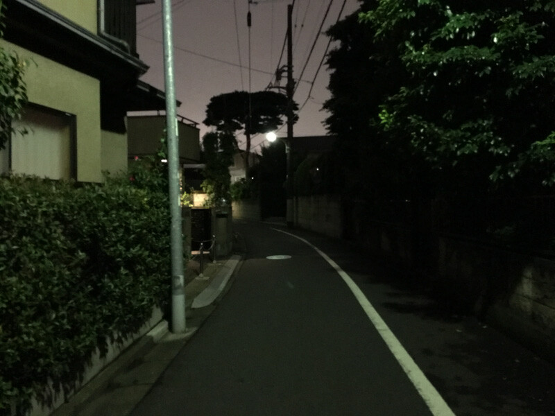 石神井公園の夜の雰囲気5