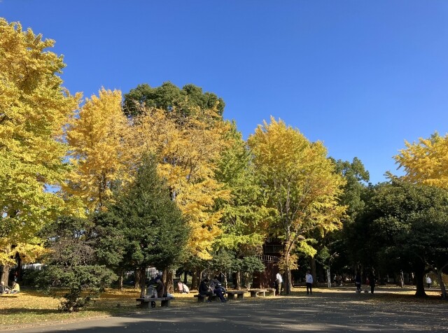 光が丘公園