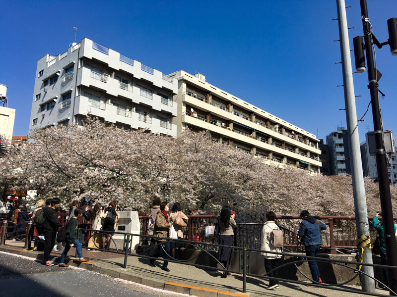 中目黒駅周辺の風景