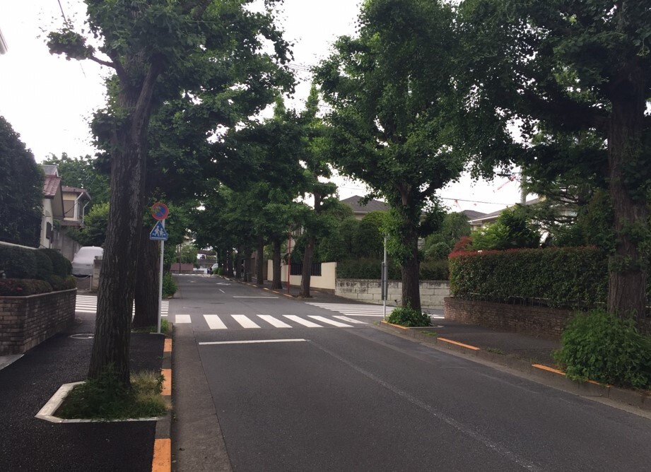 田園調布住宅街