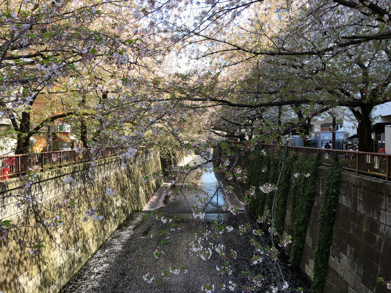 中目黒駅　目黒川