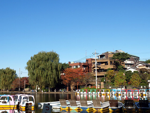 石神井公園