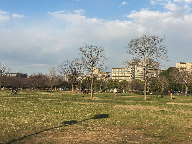 木場公園の様子