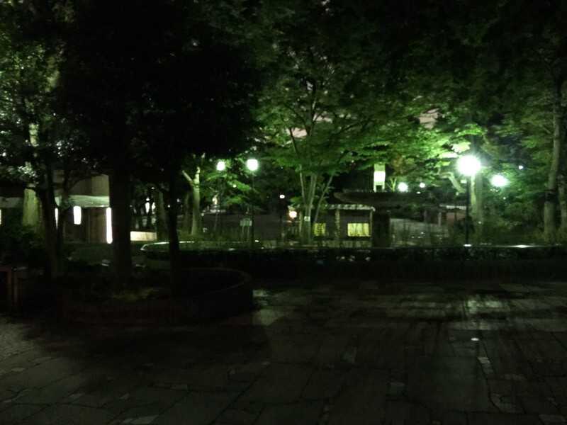 夜の公園