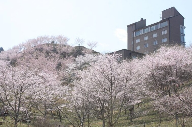 かみごおりさくら園