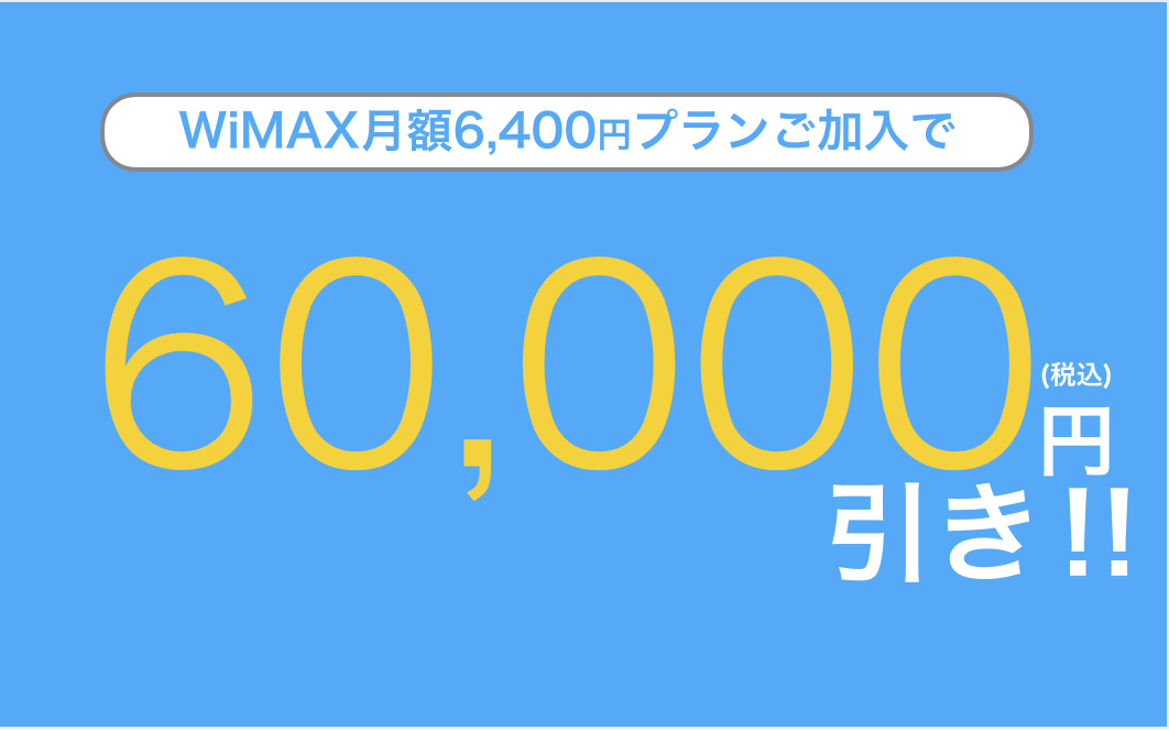 WiMAX 店舗 家電量販店 割引 表示