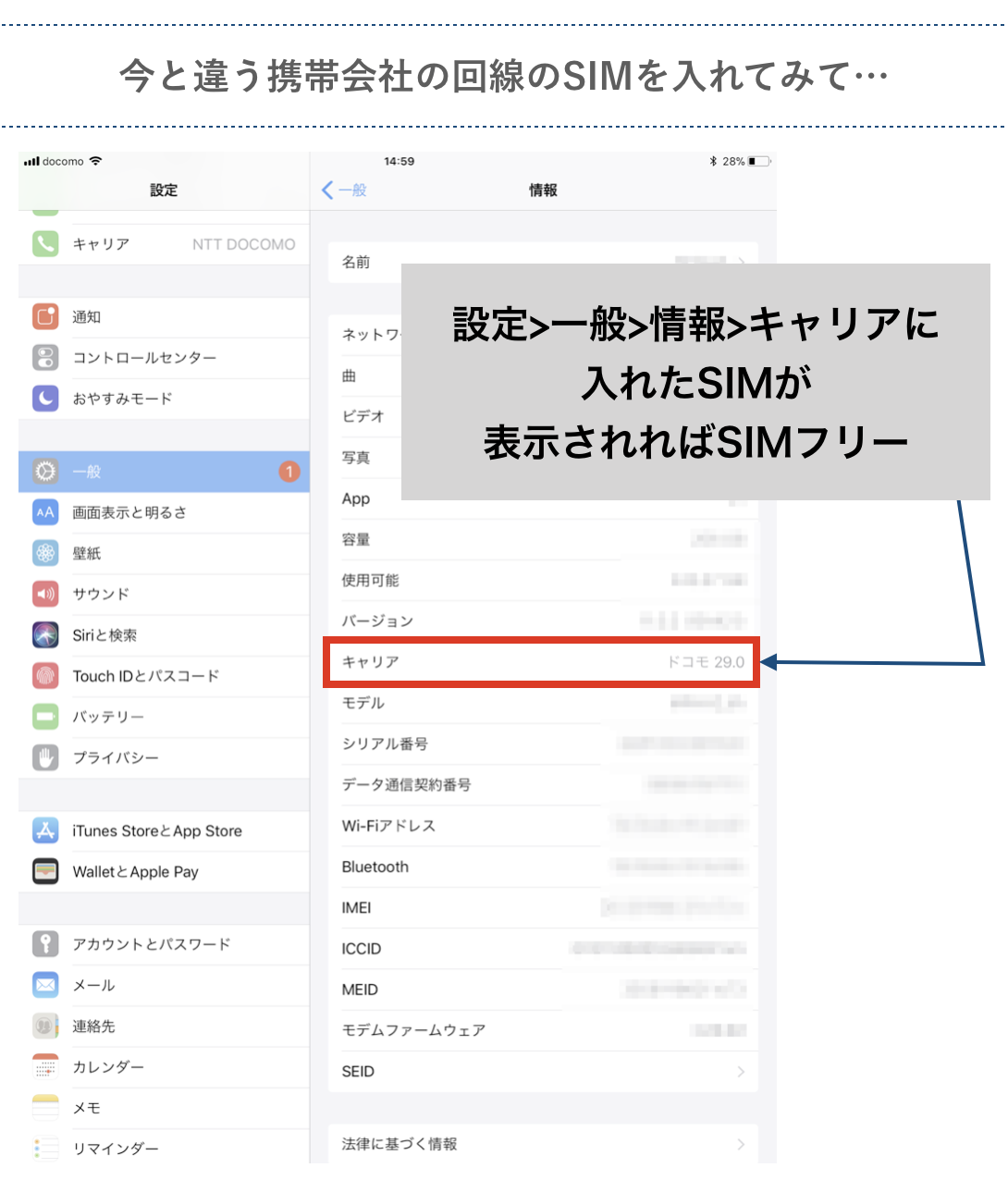 SIMフリーiPadかの確認方法