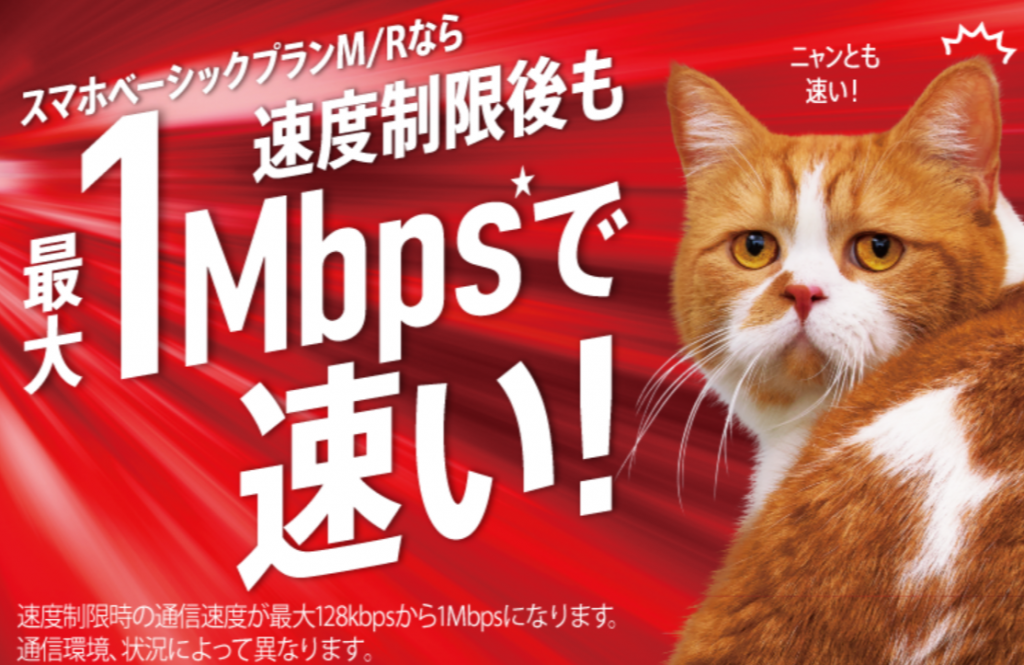 ワイモバイルの通信速度と猫