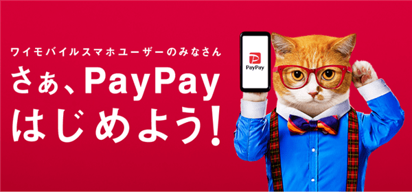 ワイモバイル_PayPayポイントがたまる