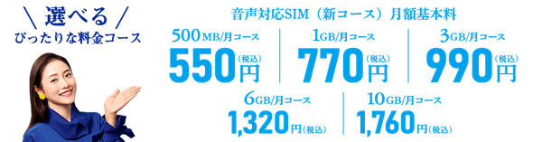 10GBまでのプランが豊富