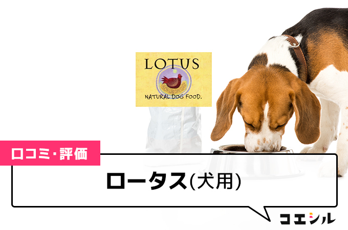 ロータス(犬用)