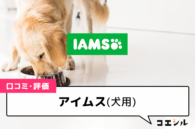 アイムス(犬用)