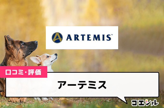 アーテミス