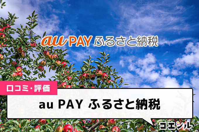 au PAY ふるさと納税