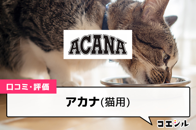 アカナキャットフードの口コミと評判