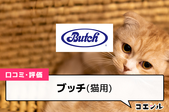 ブッチキャットフードの口コミと評判｜種類と選び方も解説