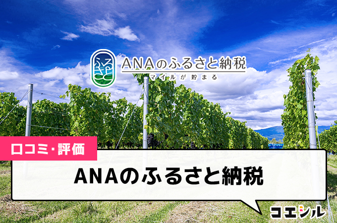 ANAのふるさと納税の口コミと評判