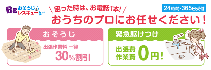 BBお掃除&レスキュー 解説している図