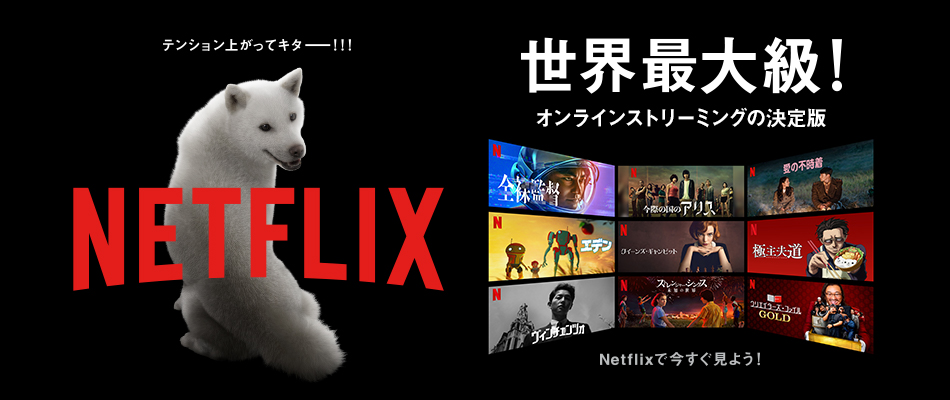 Netflix 解説している図