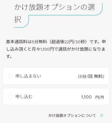 ahamo申し込みでかけ放題オプションを選択する画面