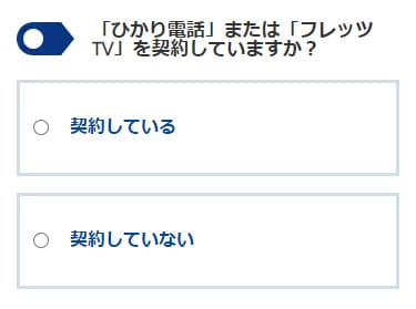 OCN光で利用しているオプションがあるか答える