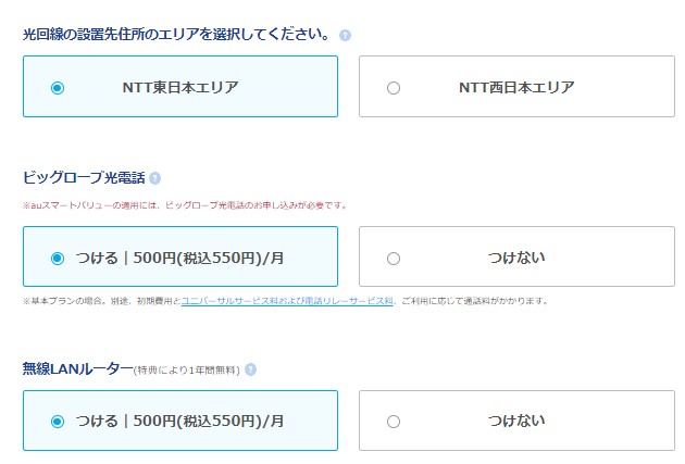 ビッグローブ光を公式サイトから申し込む手順2：利用するエリアの選択とオプションの有無を選択する