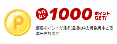 初めての楽天ひかり開通で楽天ポイント1,000ポイントGET