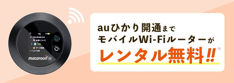 auひかり　代理店NEXTのモバイルWi-Fiレンタルサービスのバナー