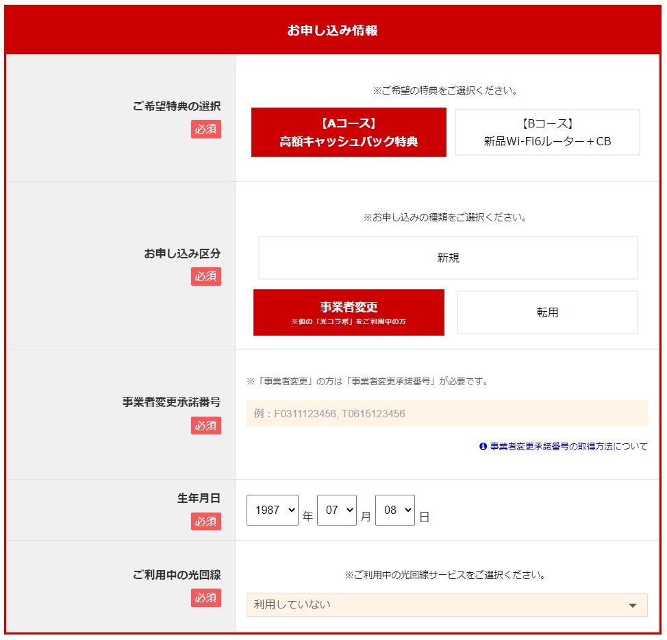 OCN光 NNコミュニケーションズからの申し込み画面 お申し込み情報入力