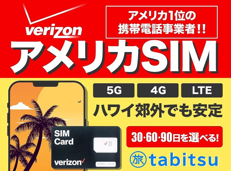 VerizonSIM